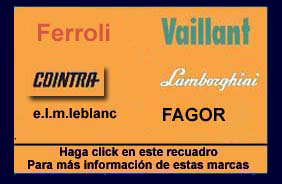 Reparaci&oacute;n de calderas ferrolli Vaillant Fagor Leblanc